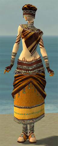 File:Ritualist Exotic Armor F dyed front.jpg
