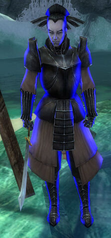 File:Kurzick Army Warrior.jpg