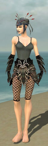 File:Necromancer Luxon Armor F gray arms legs front.jpg
