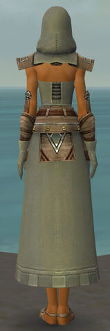 File:Dervish Istani Armor F gray back.jpg