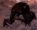 Ravenous Mandragor