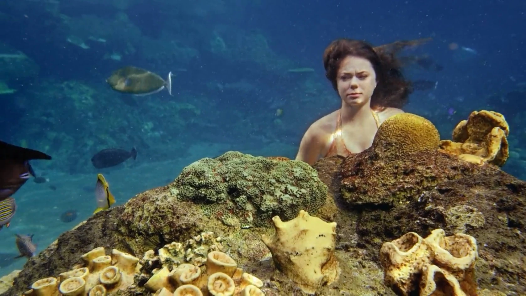 Mako Mermaids What Happened To Lyla And Nixie