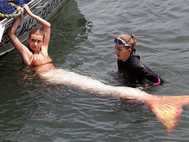 File:Mako Mermaids Set 14.jpg