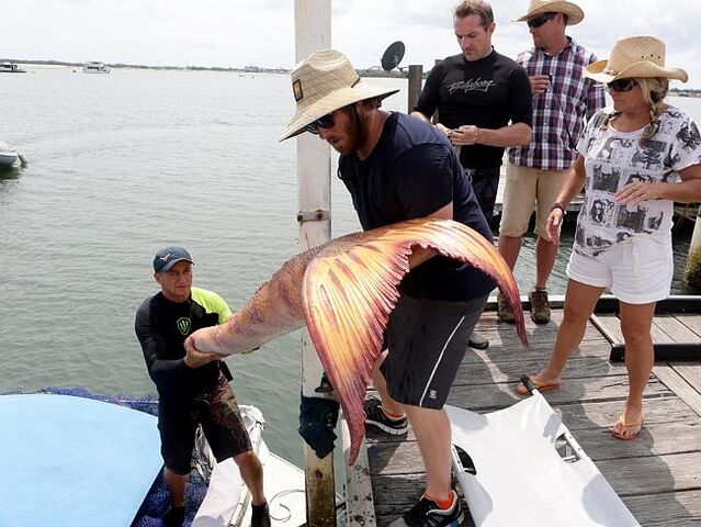 File:Mako Mermaids Set 8.jpg