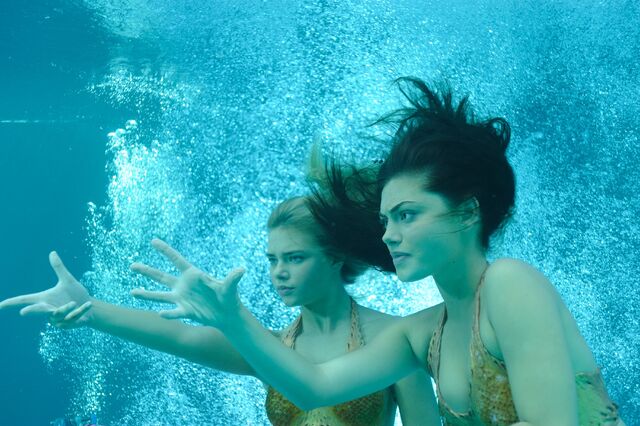 File:Cleo And Bella In The Water.jpg