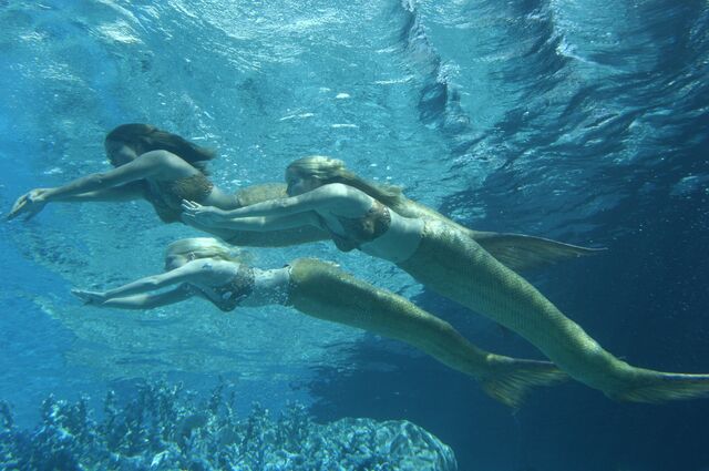 File:EmmaCleoRikkiUnderWater.jpg