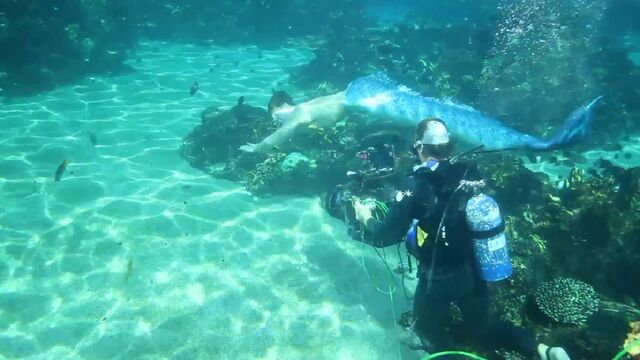 File:Alex Underwater Scene.jpg