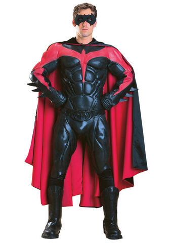 File:Robin.jpg