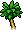 Small palm tree