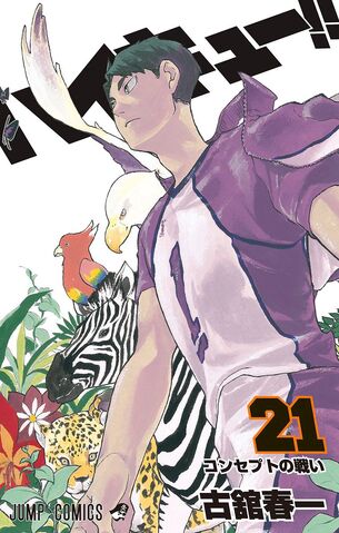File:Volume 21.jpg