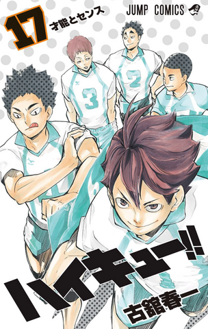 File:Volume 17.png