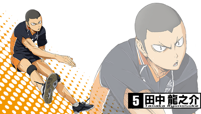 Plik:Tanaka projekt.png