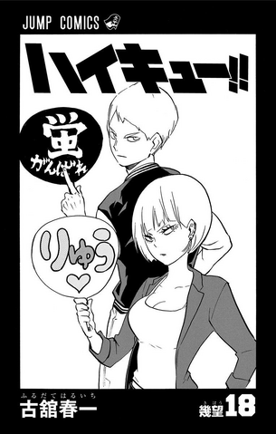 File:Volume 18 Inner Cover.png