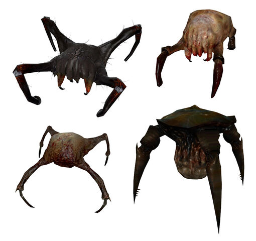 File:Headcrab models.jpg