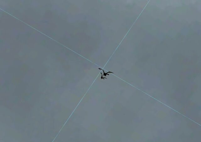 File:Sniper crows.jpg