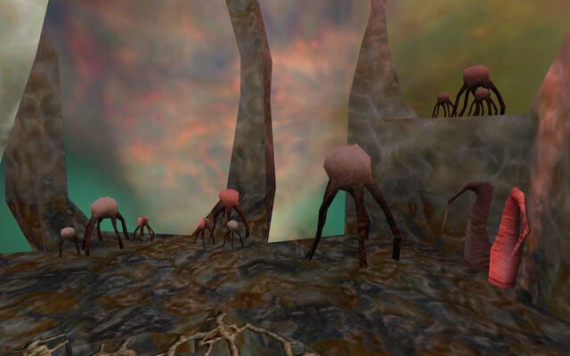 File:Fungi group.jpg