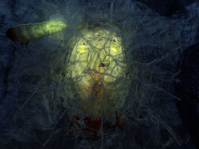 File:Pinata web.jpg