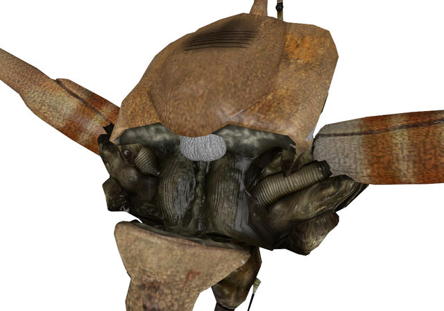 File:Strider inside.jpg
