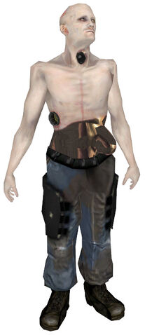 Plik:StrippedCombineSoldier.jpg
