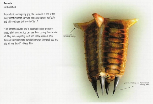 File:Barnacle3.png