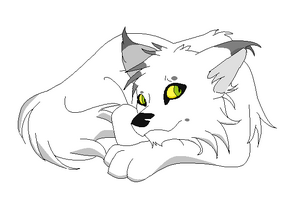 Nimaudire Pup