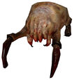 Headcrab Standard.jpg