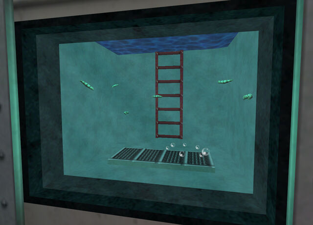 Archivo:Leeches aquarium.jpg