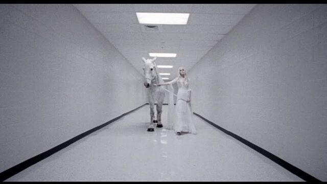 File:PDVD 037.jpg