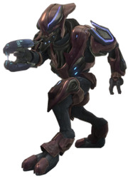 Elite Zelota Halo Reach.png