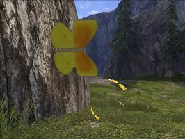 Butterflies.jpg