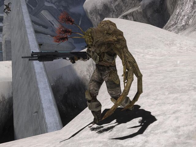 File:Human combat form.jpg