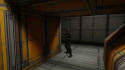 Hidden Marine