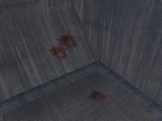 Ark blood