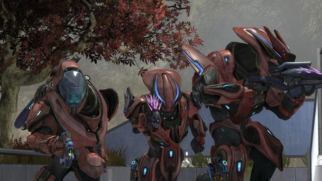 File:Red team elites.jpg