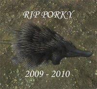 Porky