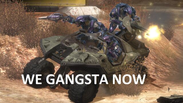 File:Elites gangsta.jpg