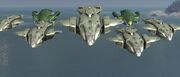 Covy1.jpg