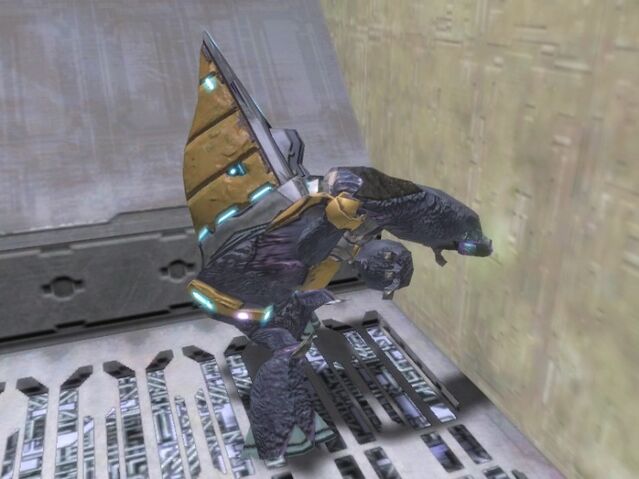 File:Grunt Vigliacco.jpg