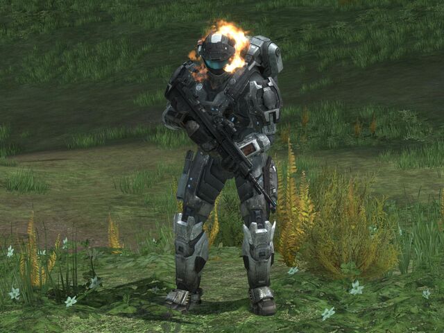 File:Reach 19459598 Full.jpg