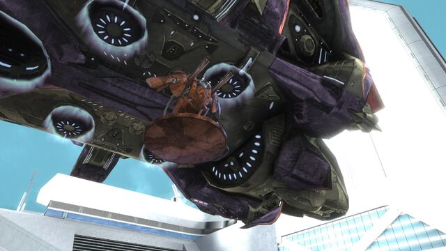 File:Reach 26261772 Full.jpg