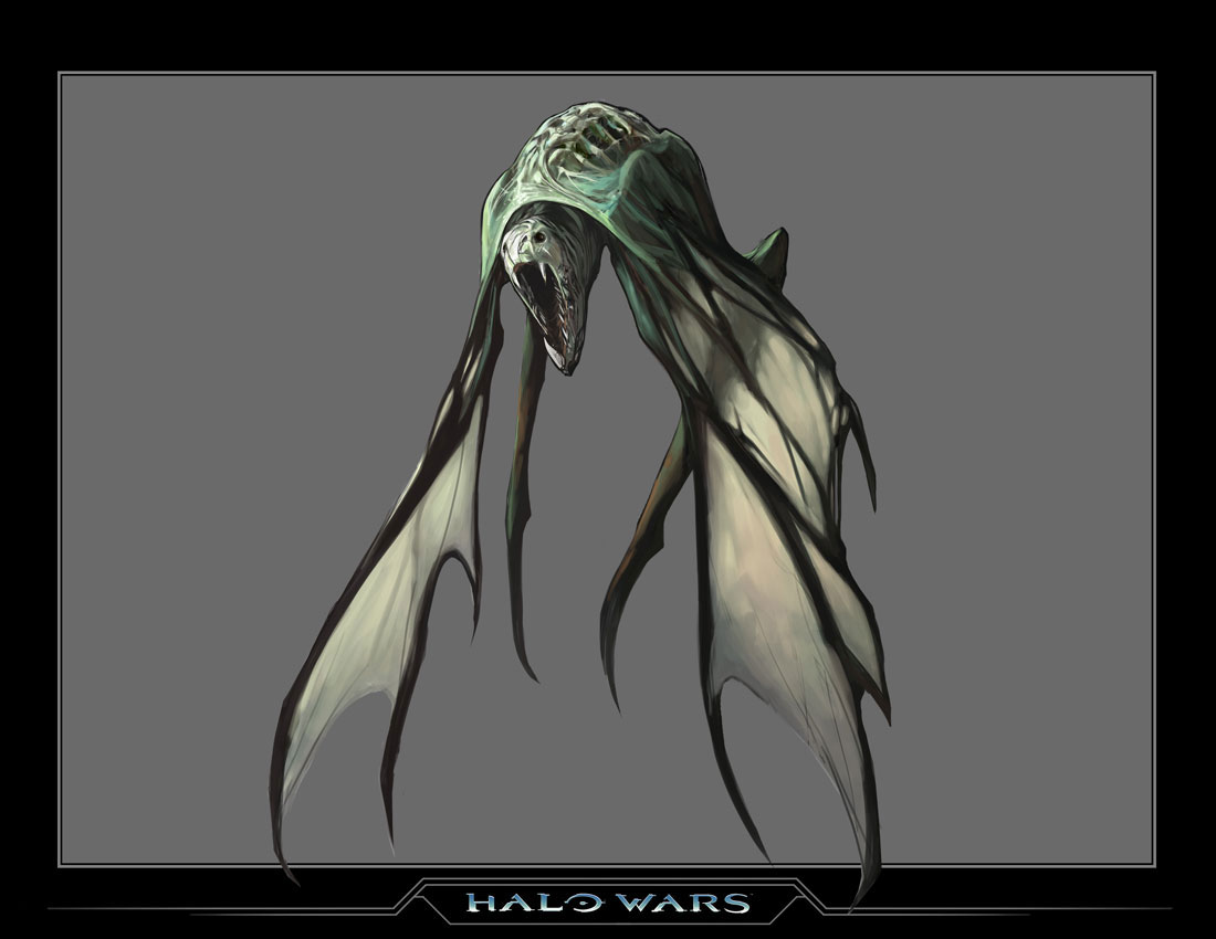 types of flood halo types of flood halo
