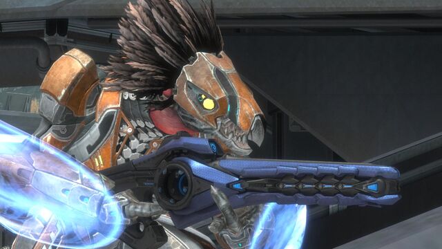 File:Reach 4612386 Full.jpg