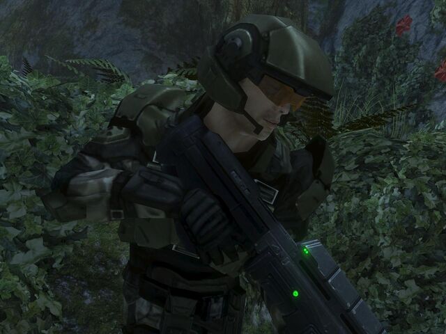 File:PFC Chips Dubbo.jpg