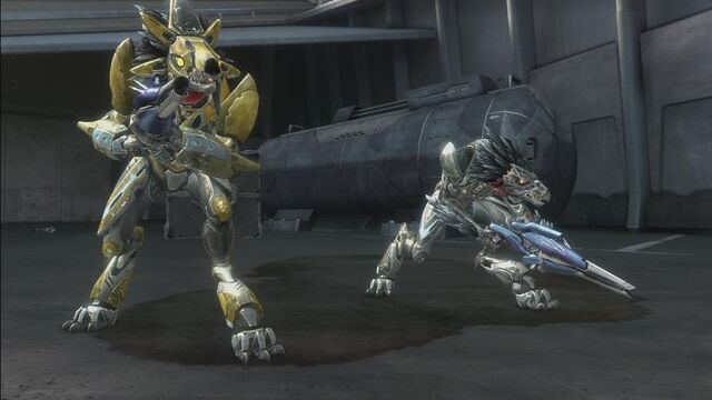 File:Skirmisher.jpg