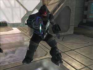 Brute Cacciatore