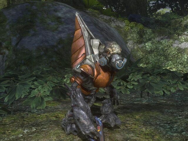 File:Grunt Minor.jpg