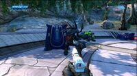 Halo CEA Magnum