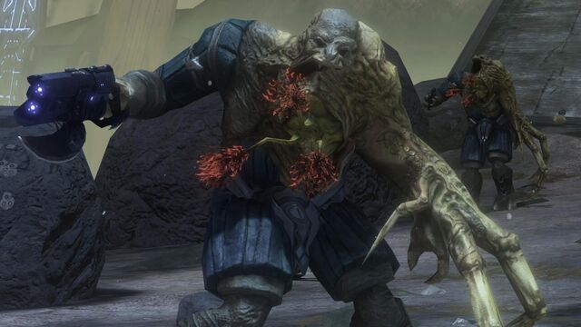 Arquivo:Flood Brute.jpg