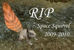 Space Squirrel