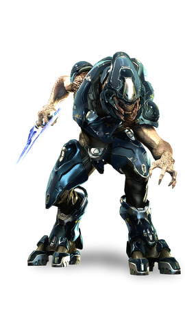 File:Storm Sangheili.png